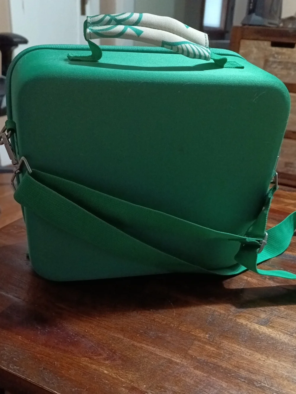 Green Leaf Animal Crossing Nintendo Switch (One) Traveling Cass